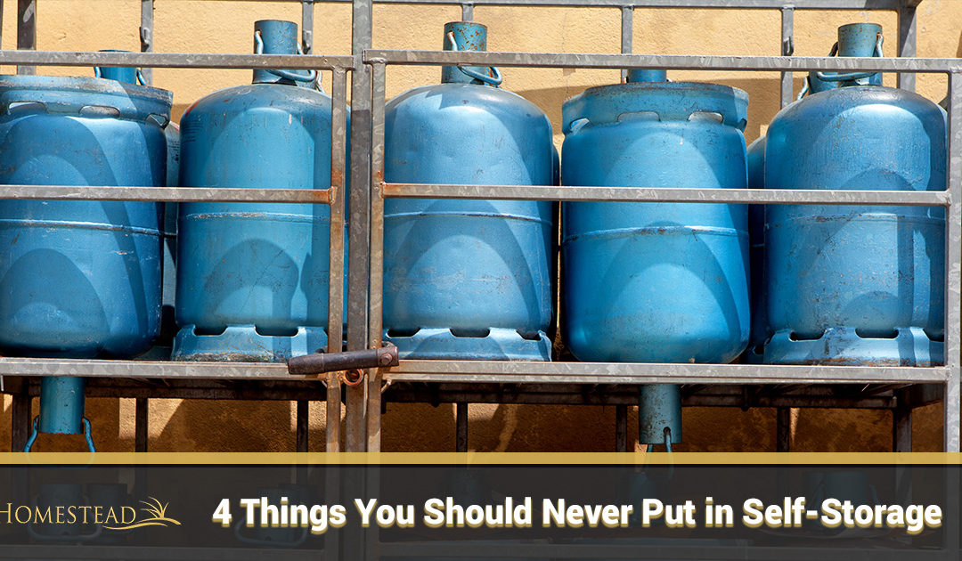 Four Things You Should Never Put in Self-Storage