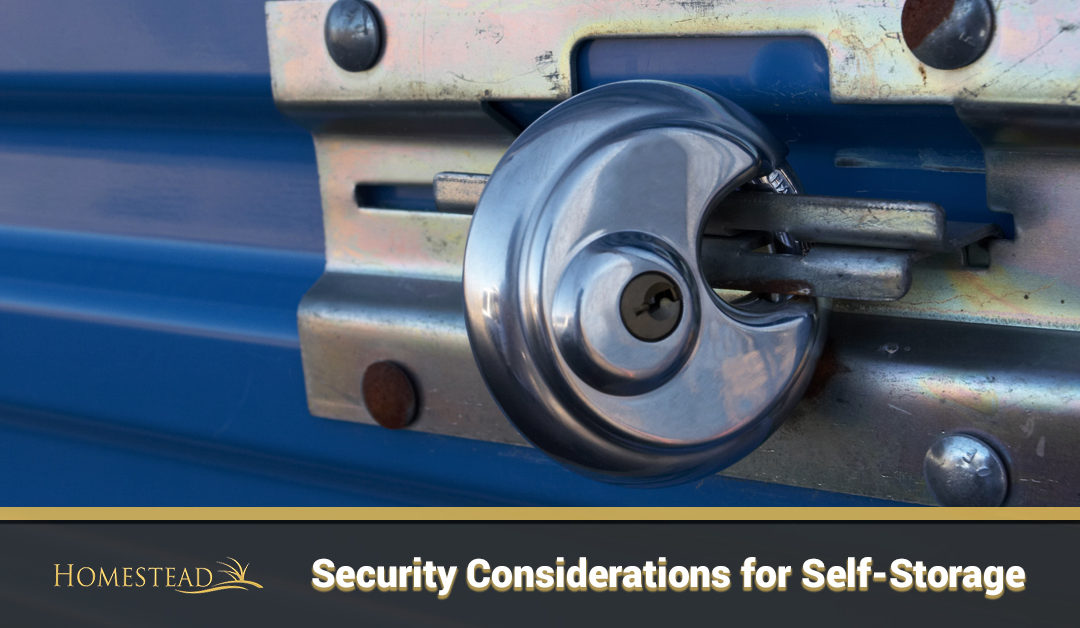 Security Considerations for Self-Storage