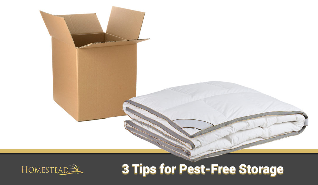 3 Tips for Pest-Free Storage