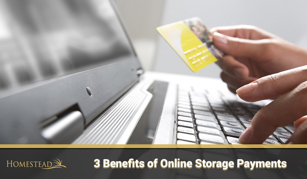 3 Benefits of Online Storage Payments