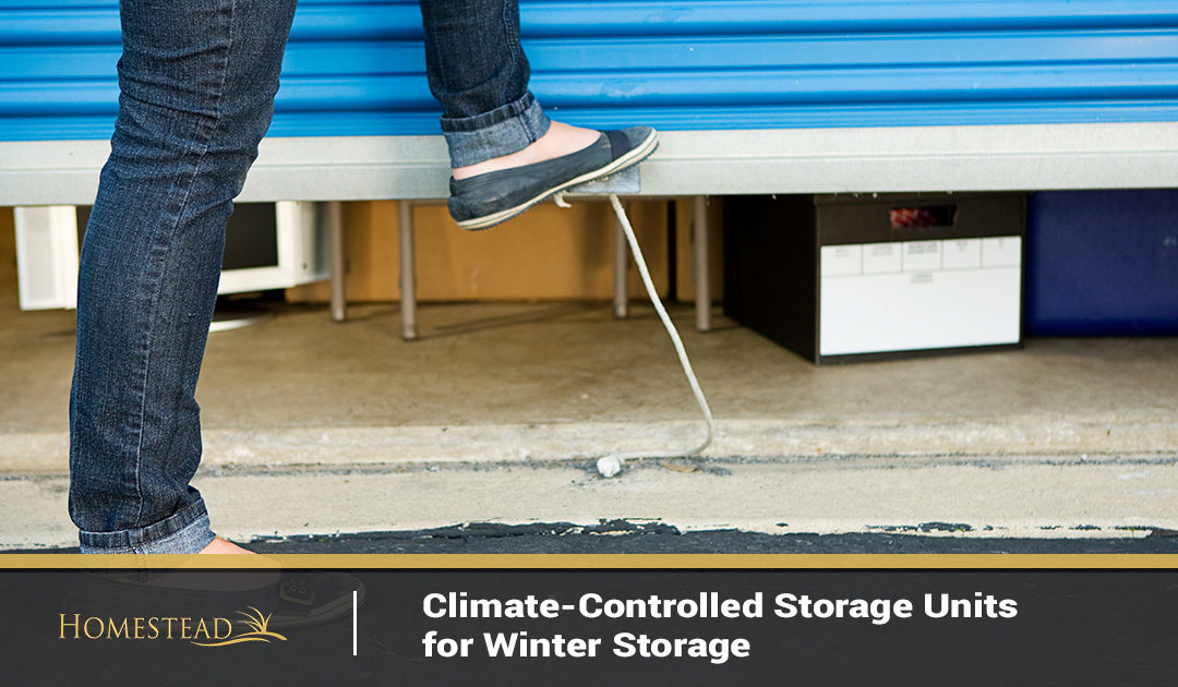 Climate-Controlled Storage Units for Winter Storage